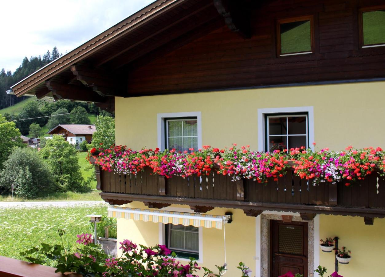 Appartement Gleiminger Forstau  Exterior foto
